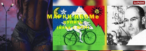 дживик Аркадак
