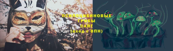 дмт Армянск