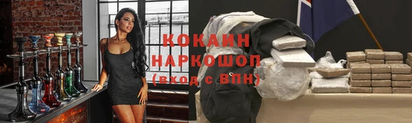 эйфоретик Арсеньев