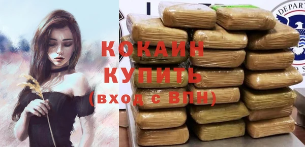 дживик Аркадак