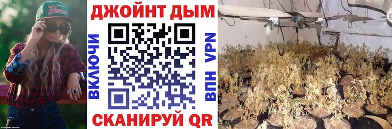 Марихуана план Приозерск