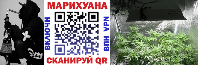 Шишки марихуана семена  Приозерск 